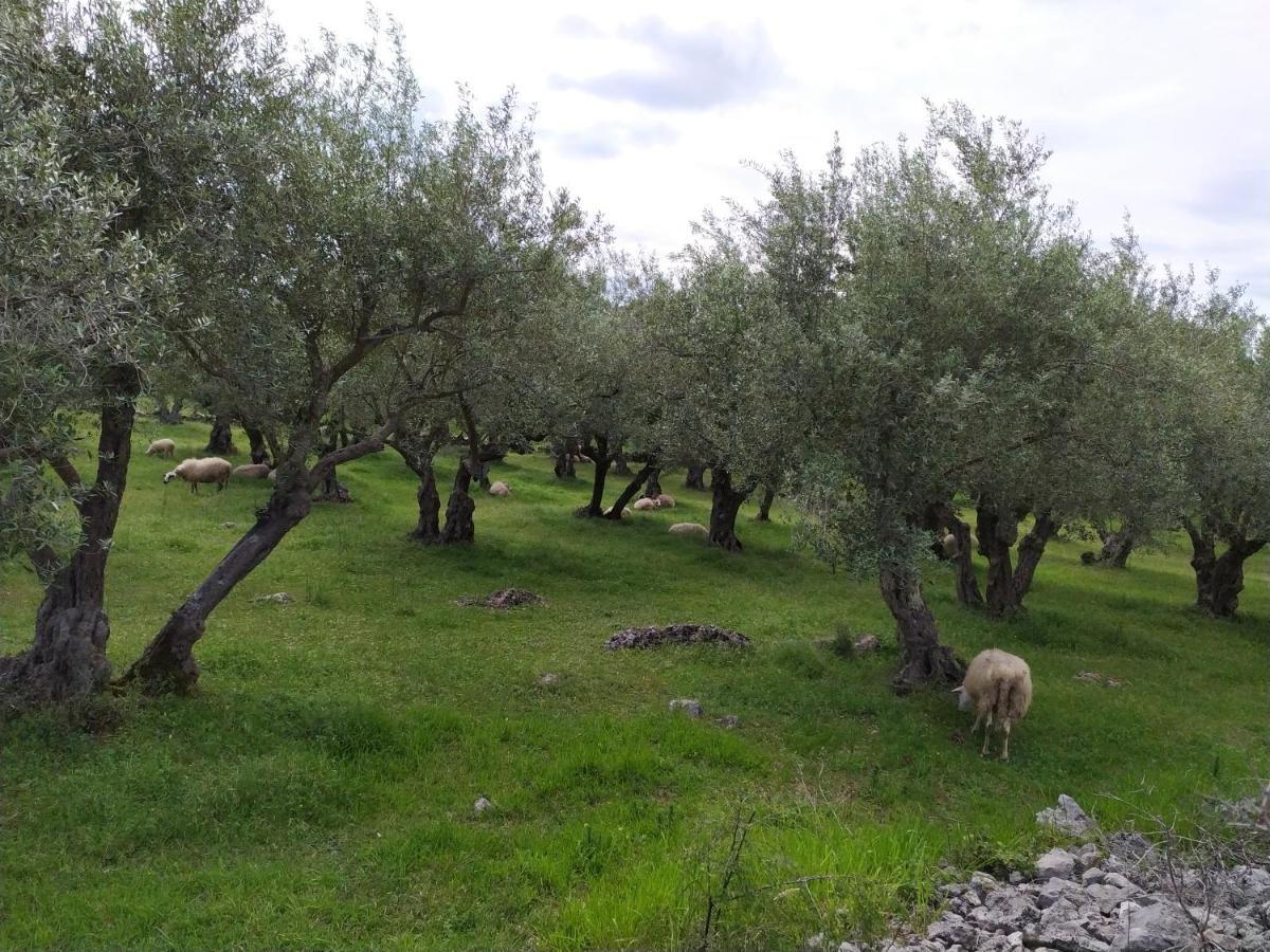 Hotel Prima Insula Glamping Brusici Esterno foto